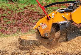 Best Tree Health Inspection  in Highland Park, IL