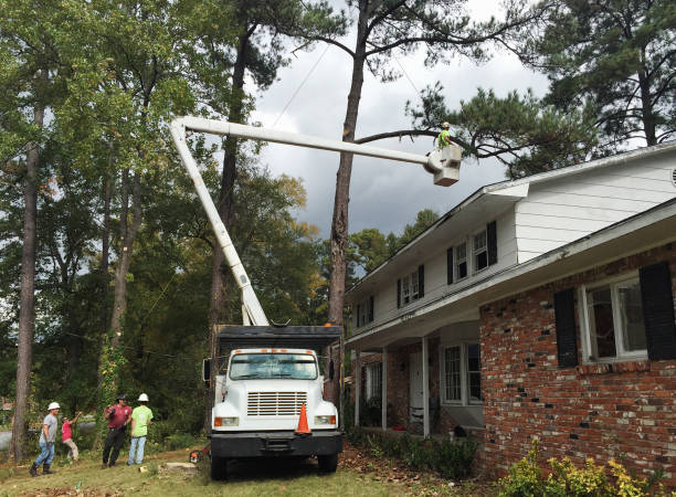 Best Aeration Services  in Highland Park, IL